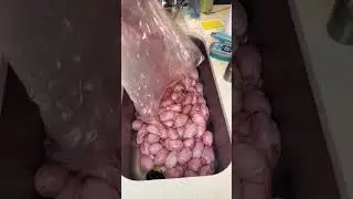 Peep cake!!