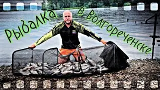 Фидерная рыбалка в Волгореченске. Рыба стоит стеной, поклевки на каждом забросе.
