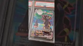 INSANE PSA GRADING RETURN 🔥 #psagrading #psapokemon #psa10 #pokemongrading #charizard #charizardpsa
