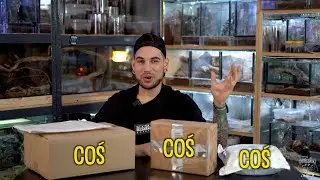Paczka NIESPODZIANKA #64 Wiecznie piękny 😂