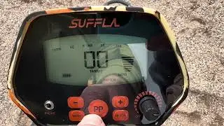 Metal detector