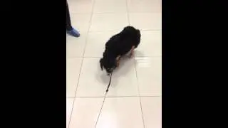 IMG 08881]