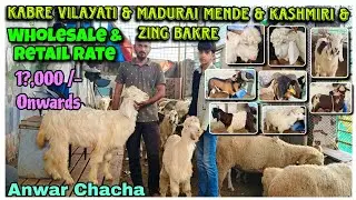 Kabre Vilayati & Madurai Mende & Zing & Kashmiri Bakre in Kalyan#youtubevideos#viralvideo@AsimShaikh