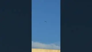 As aves e o avi&atilde;o