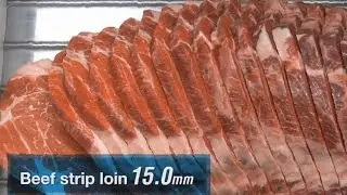 Cortadora de carne WFC 360D