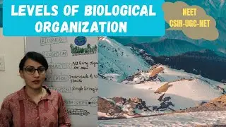 Levels of Biological Organization