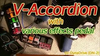 V-Accordion with various effects pedal - Nori Nagasaka (JAPAN)