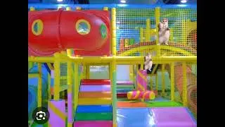 weirdcore dreamcore story but cats part 2 @CrayZ_TV