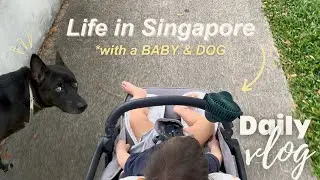 Life in Singapore as a Mom | PRODUCTIVE Weekday Evening Routine 🌟 *SILENT VLOG