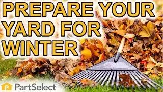 Fall Yard Clean Up: How to Prepare Your Backyard for Winter | PartSelect.com