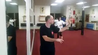 Zhen Ren Chuan-Bagua Walk