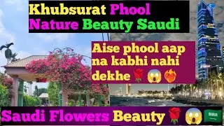 Saudi Arabia Ke Khubsurat Phool | Nature Beauty Saudi | Beautiful flowers of Saudi Arabia | Nature🌹😱