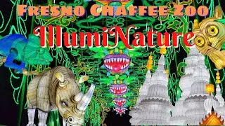 Медиа-ночь IllumiNature в зоопарке Фресно-Чаффи