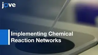 Plasmid-Derived DNA Strand Displacement Gates: Chemical Reaction Network l Protocol Preview