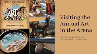 Visiting the Annual Art in the Arena at The Pond Digger Ranch