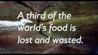 World Environment Day, 5 June 2013 (UNRIC | Fabrica | UNEP)