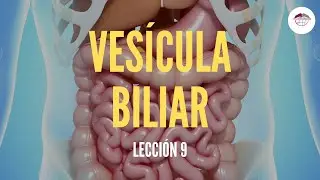 9. LA VESÍCULA BILIAR (ESTRUCTURA Y FUNCIÓN DEL SISTEMA DIGESTIVO)