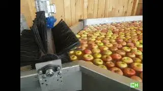 Automatisierte Obstsortierung