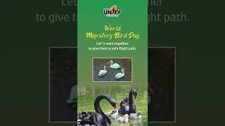Statue of Unity - World Migratory Bird Day