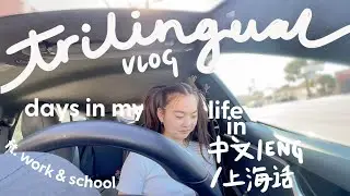online school, tidying, & grinding in mandarin & shanghainese (中文/ENG sub) 🤭 trilingual vlog