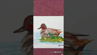 &ldquo;Watercolour duck study |🦤#Watercolour#WatercolourDuck#ArtReels#DailyArt#ArtLovers#PowerOfColour
