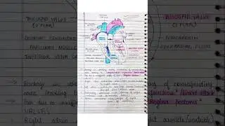 CH-8 Circulatory System ICSE Class 10 handwritten notes #icseclass10 #humancirculatorysystem #notes