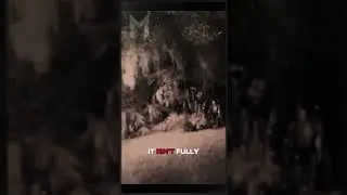 Security Camera Captures Small Transparent Figure Near Tree 👀👻