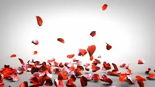 Falling Rose petals video template video background editing || Rose falling template ||