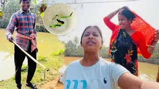 এতগুলো সাপ আমাদের লাউ মাচাতে আমরা তো সবাই অবাক 😱😳