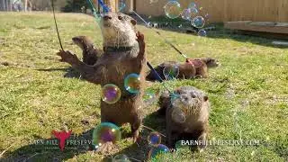 Barn Hill Preserve TV Commercial Spring 2023