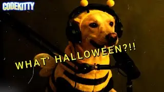 Funny Dog & Cat Podcast: The Great Halloween Confusion 🎃🐾 | Costumes, Candy & Chaos!#shorts
