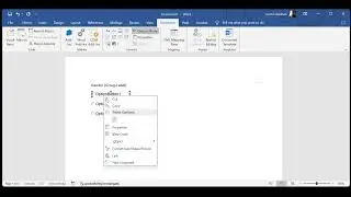 Accessible Radio button in word documents