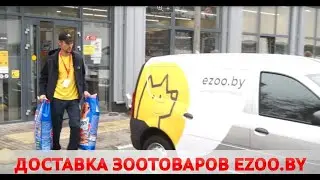 В Бобруйске работает экспресс-доставка товаров для животных E-ZOO.BY