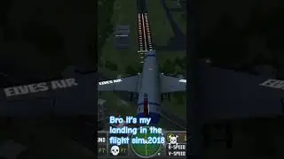 Bro it's landing in the flight sim 2018 ☠️💀