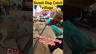 Pikachu Dog Catch #dogwithpublicsafety #dog #pikachu #pets #ytviral #shorts #rescue