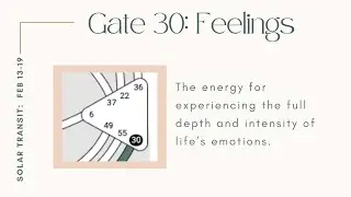 Human Design Solar Transit - Gate 30: Feelings