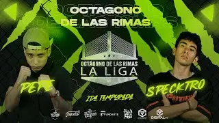 SPECKTRO VS PEPE (FINAL) GRAN FINAL DEL OCTAGONO DE LAS RIMAS #octagonodelasrimas