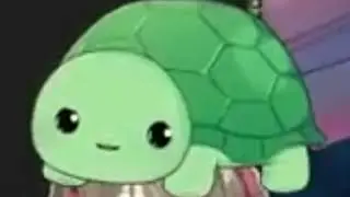 🐢 That's crazy🐢 That's actually crazy🐢That's messed up🐢