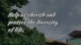 Environmental Stewardship | Prayer for our Planet