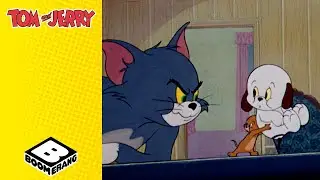 Jerry Gets A Dog | Tom and Jerry | @BoomerangUK