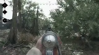 4 headshots in a row: hunt showdown