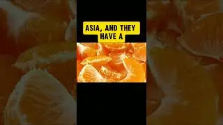 Fun Facts About Oranges You Need to Know 🍊 | YouTube Shorts