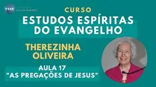 THEREZINHA OLIVEIRA - ESTUDOS ESPÍRITAS DO EVANGELHO - AULA 17 - 