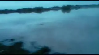 Crişul Negru Zerind.jud.Arad