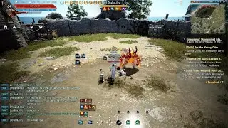 AWK  Wizard vs Succ Maegu Black Desert Eva VS Eva