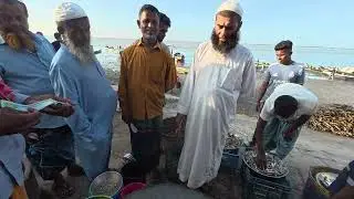 পদ্মার ১১ কেজি পাঙ্গাস | Padma river fish | Bangladesh fish ghat 2025 | Saifuls Tale