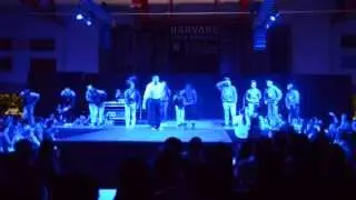 Harvard Breakers Eleganza 2013