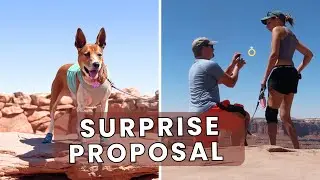 Dog-Friendly Utah Adventure Turned Into a Proposal | Canyonlands Vlog