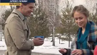Ко Дню всех влюблённых. Древо Любви  Репортаж телеканала НБТ