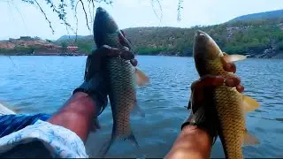 Special Rohu Bait 💯% Result || float fishing set up 4 Hook&rsquo;s Fishing set up new Vedio